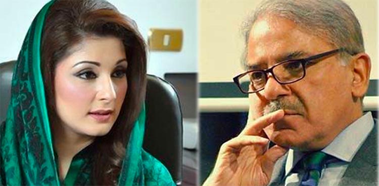 Maryam Nawaz and Shahbaz Sharif have different views. FM Shah Mehmood