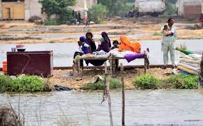 WWF-Pak appeals donors for relief, rehabilitation of flood affectees